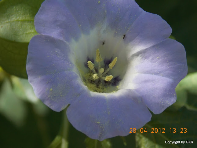 DSCN1718.JPG