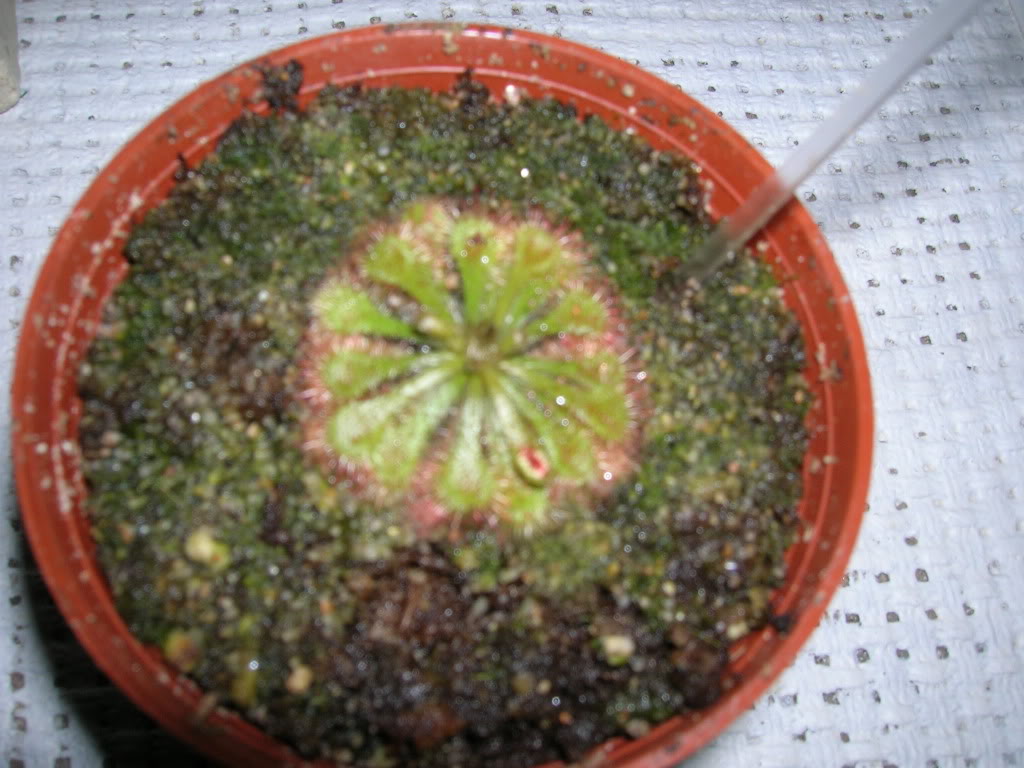 DSCN1719.jpg