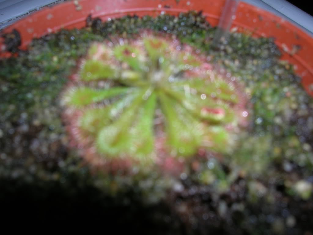 DSCN1720.jpg