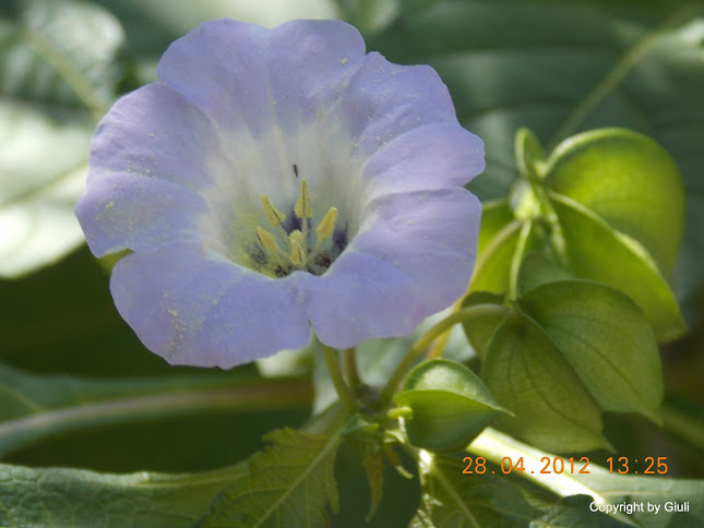 DSCN1721.JPG