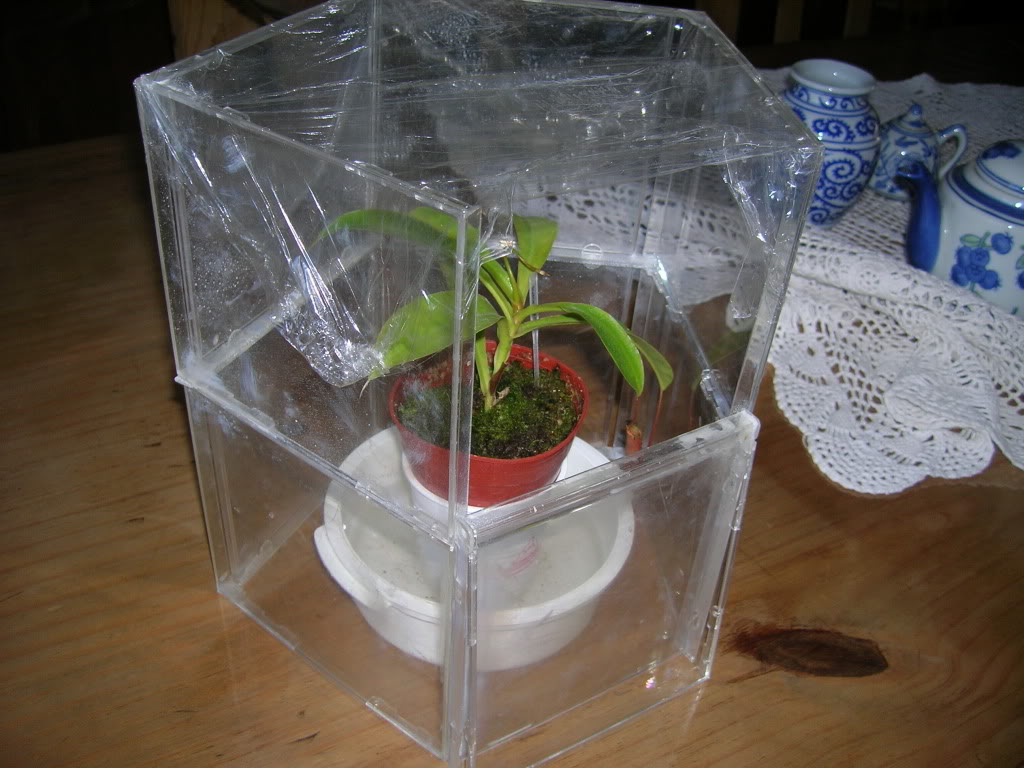 DSCN1724.jpg