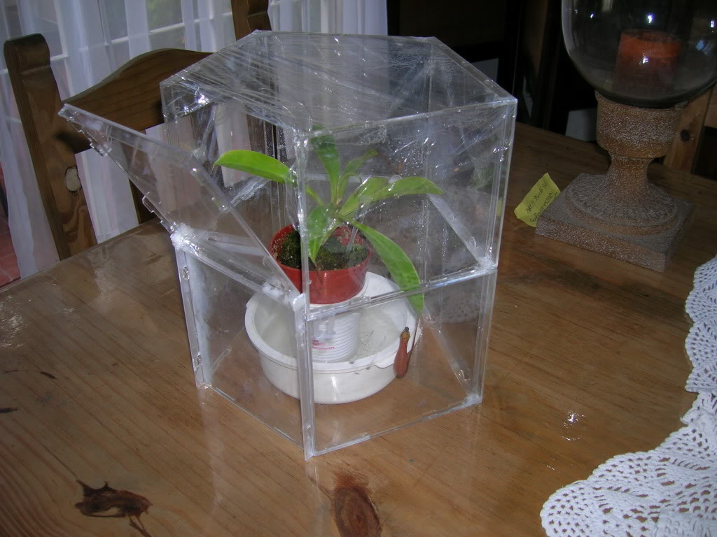 DSCN1725.jpg
