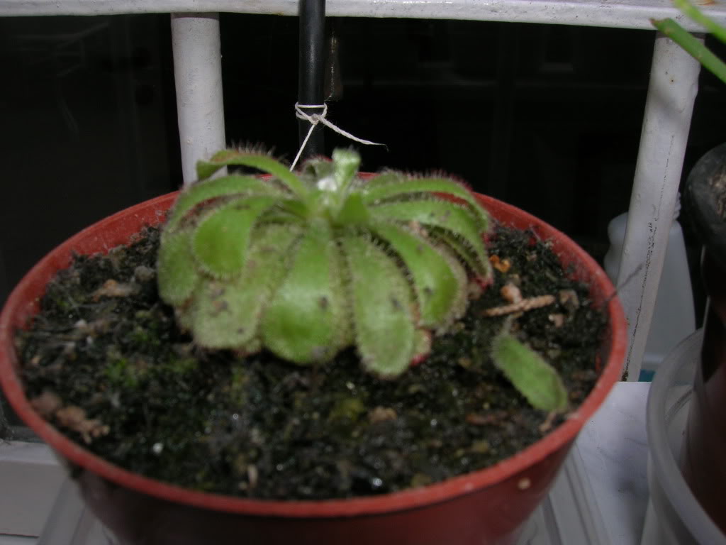 DSCN1728.jpg