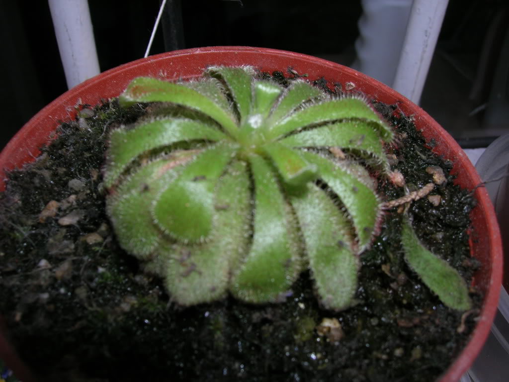 DSCN1729.jpg