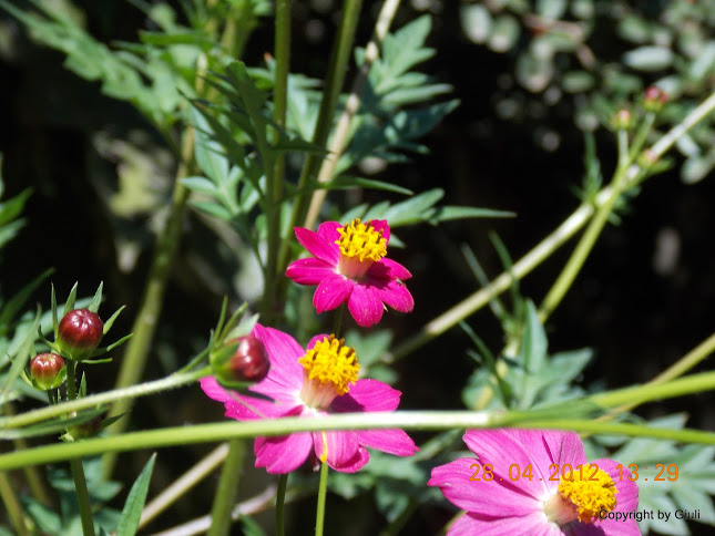DSCN1730.JPG