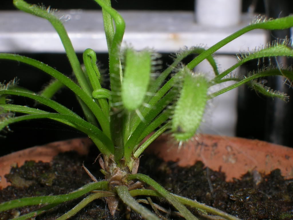 DSCN1731.jpg