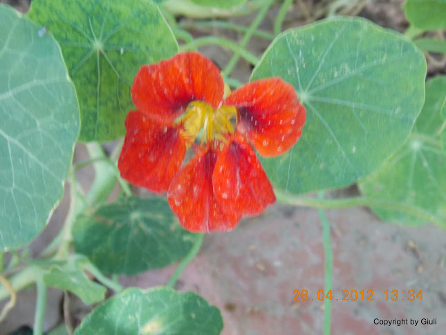 DSCN1735.JPG