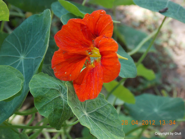 DSCN1736.JPG