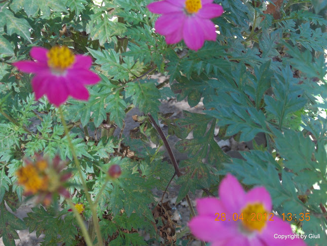 DSCN1738.JPG