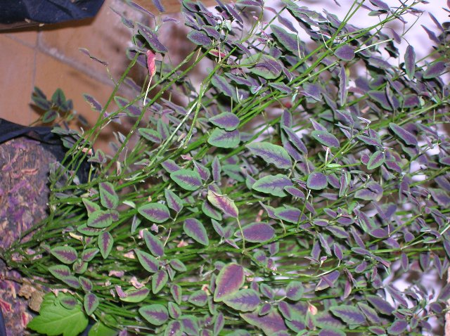 DSCN1749_640x478.jpg