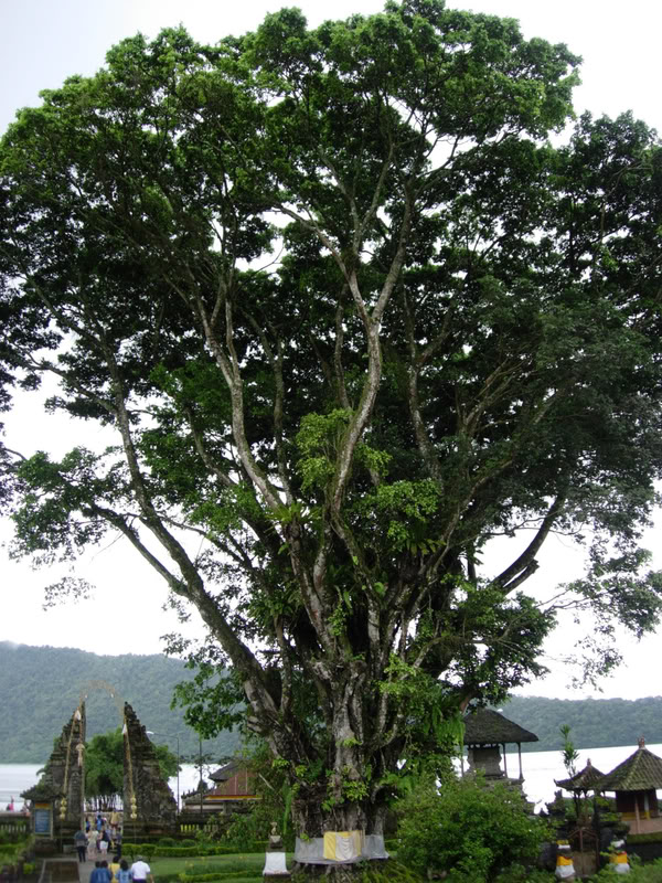 DSCN1791_r1.jpg