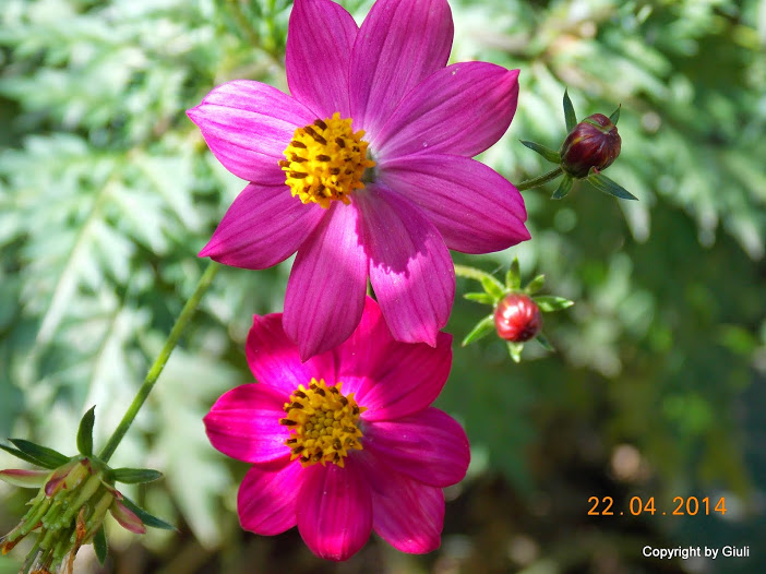 DSCN1803.JPG