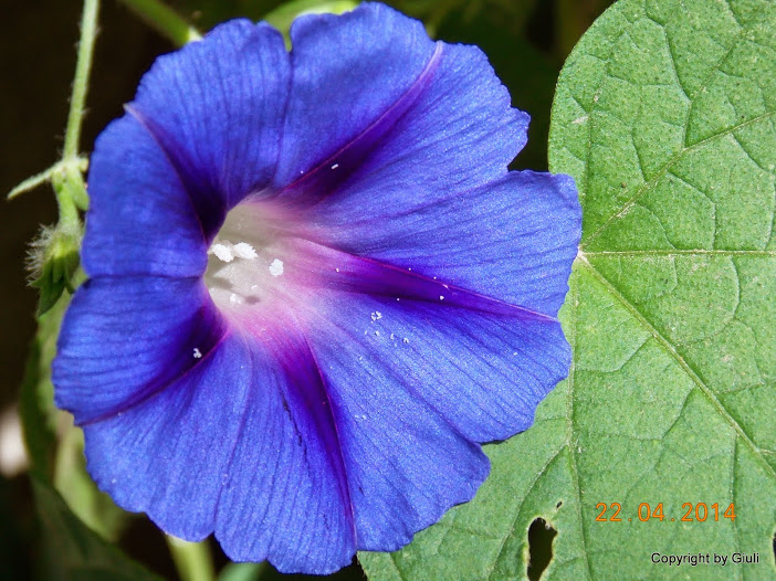 DSCN1810.JPG