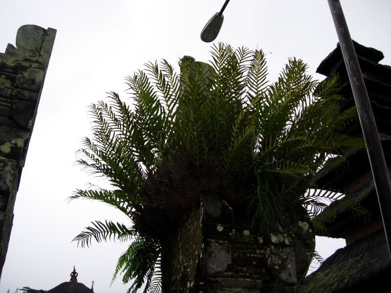 DSCN1815.jpg