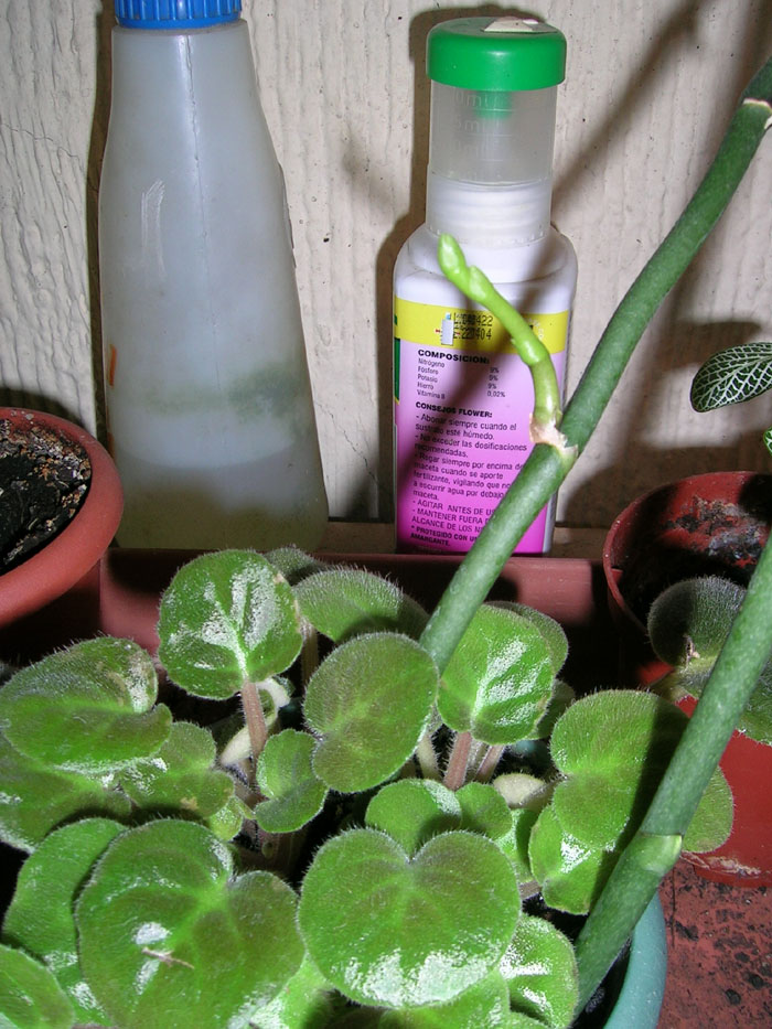 DSCN1815.JPG
