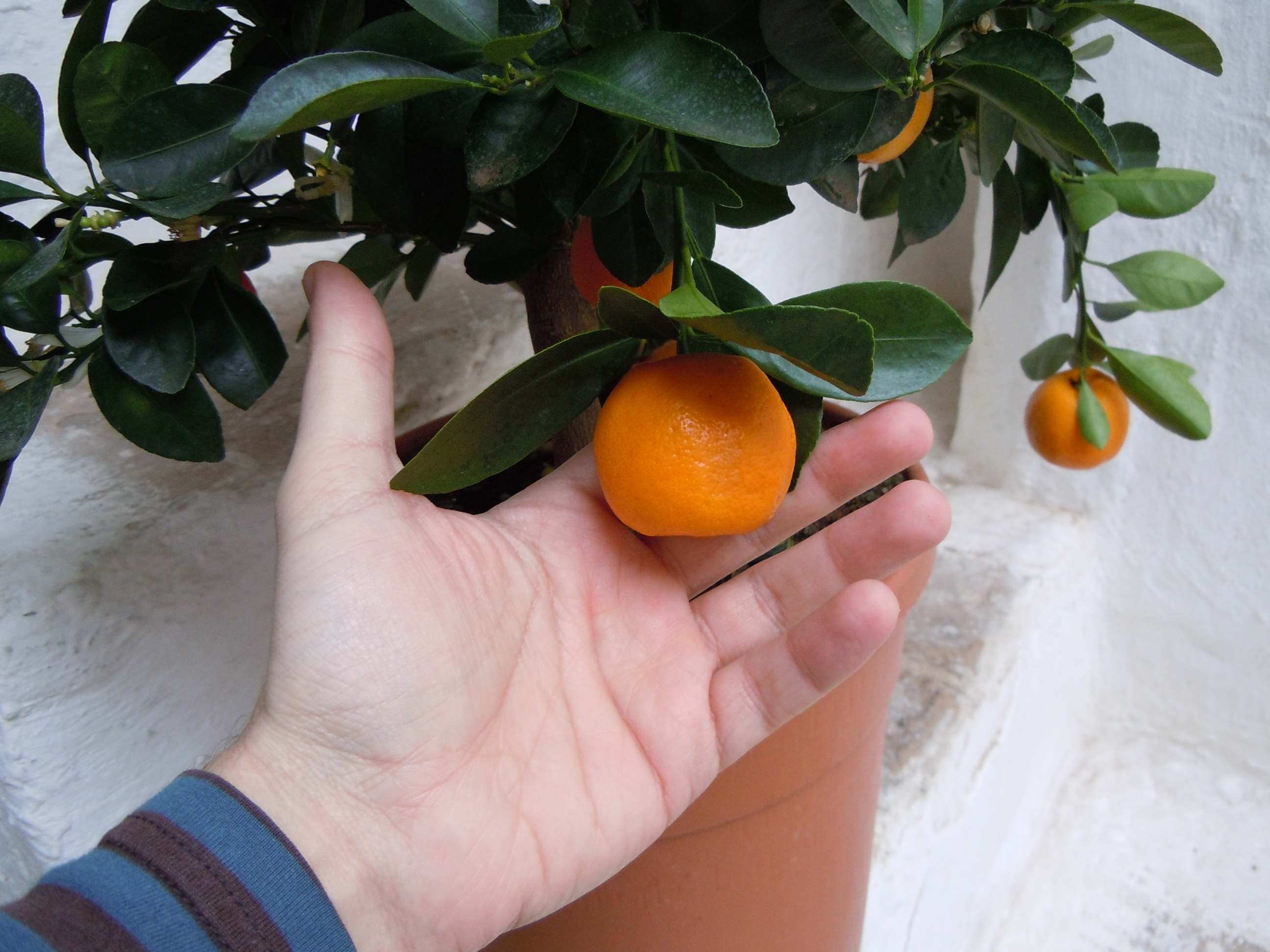 DSCN1817.JPG