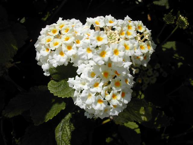 DSCN1819.jpg