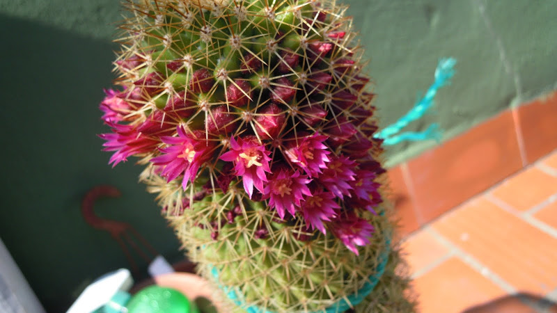 DSCN1827.JPG