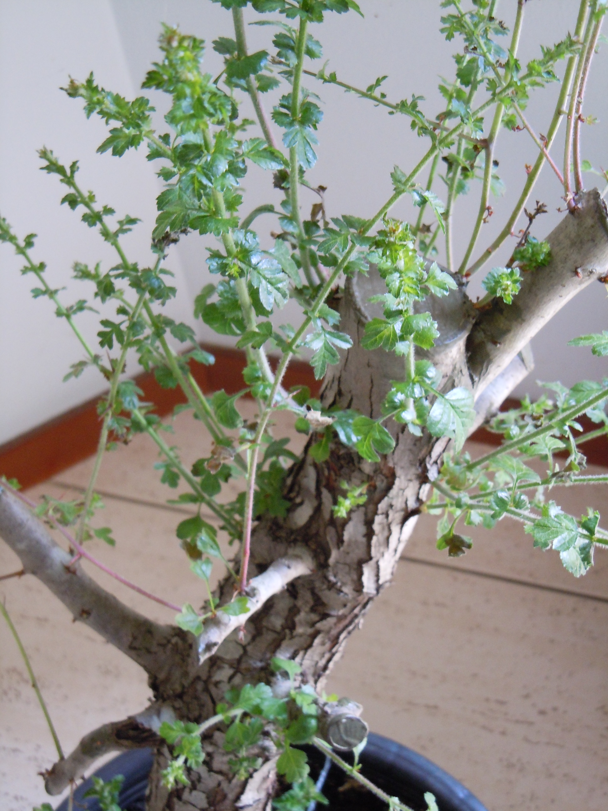 DSCN1831.JPG