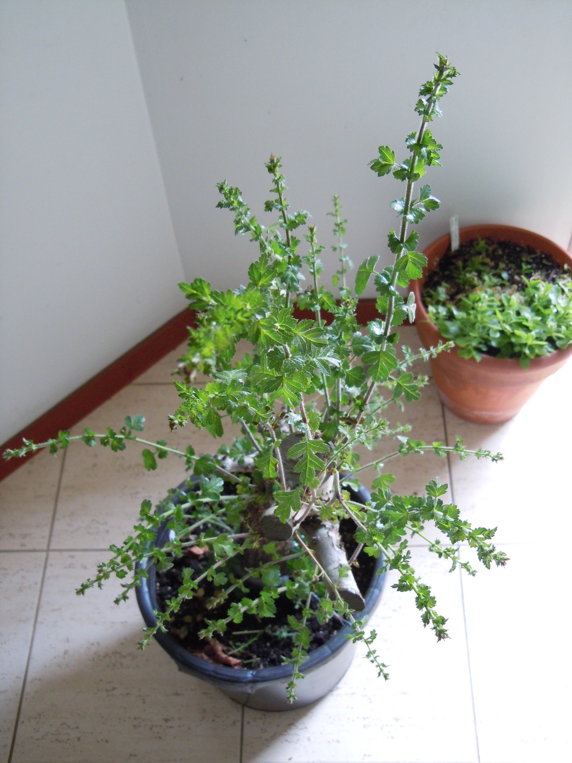 DSCN1833.JPG
