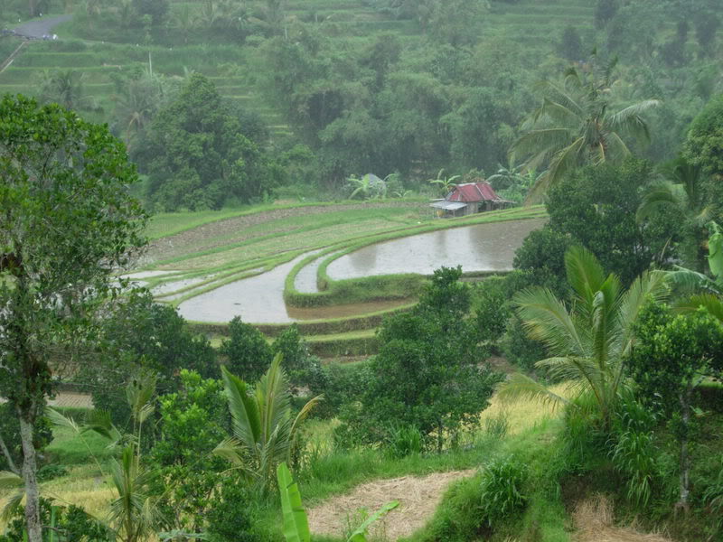 DSCN1834.jpg