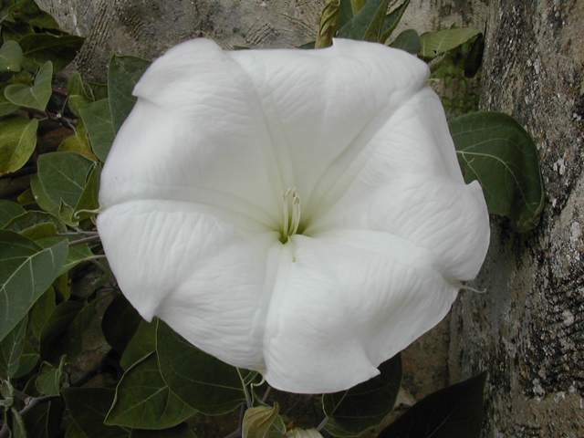 DSCN1846.jpg