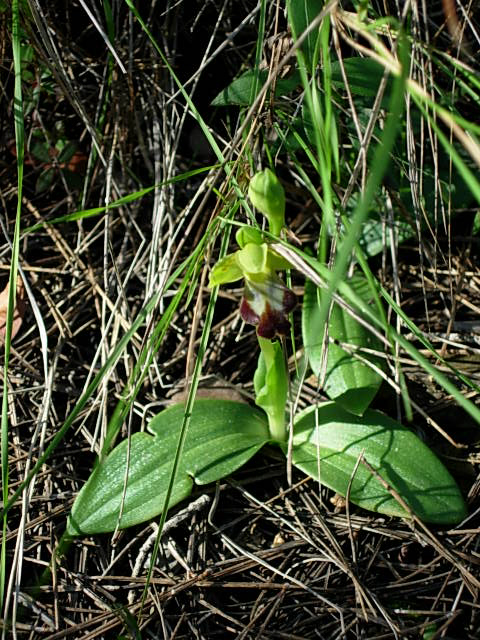 DSCN1848.JPG
