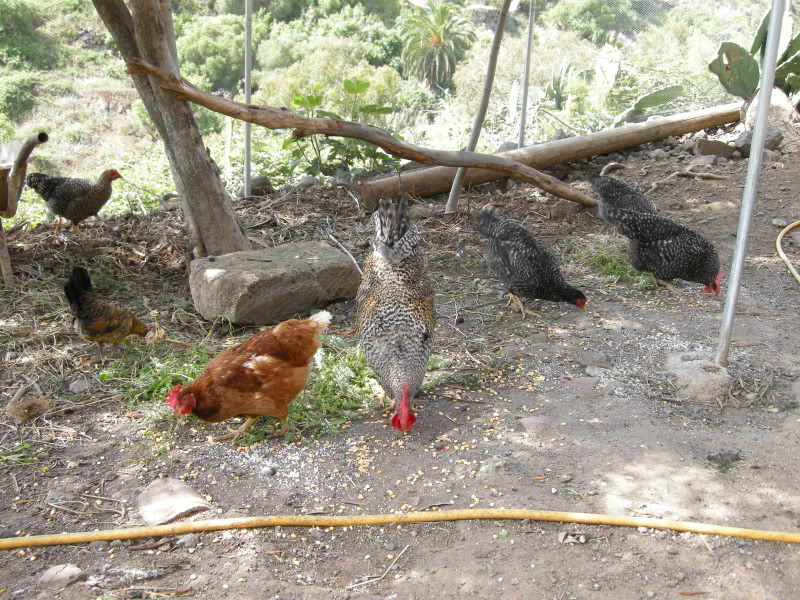 DSCN1849.jpg