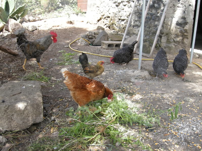 DSCN1852.jpg