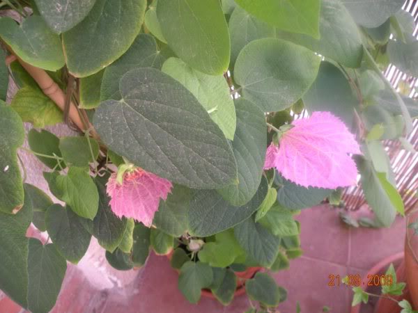 DSCN1858.jpg