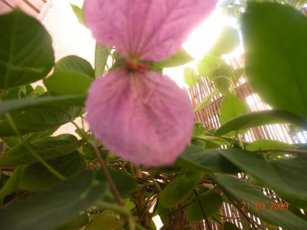 DSCN1859.jpg
