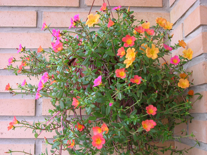 DSCN19130962.JPG