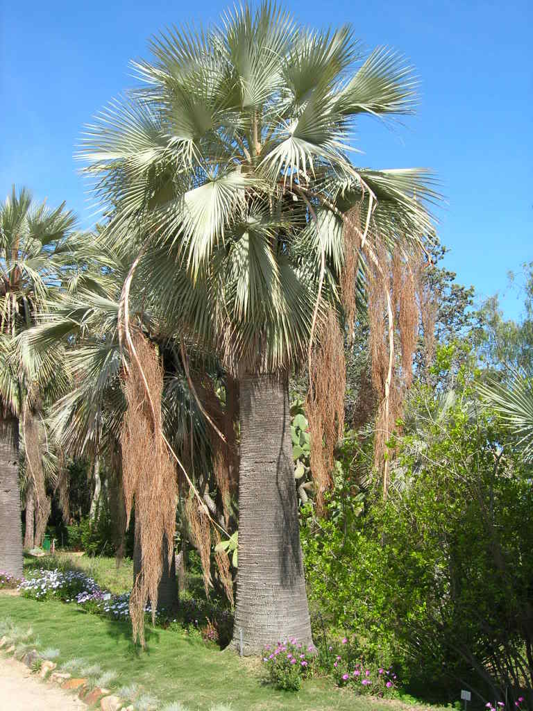 DSCN1925.jpg