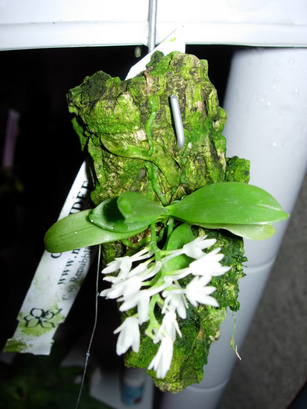 DSCN1933.jpg