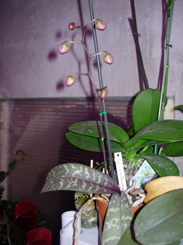 DSCN1959.jpg