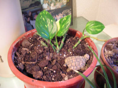 DSCN1972.jpg