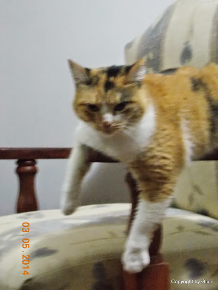 DSCN1975.JPG