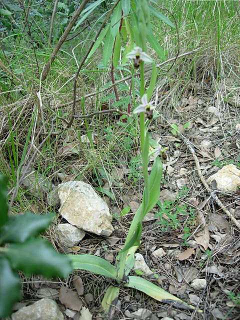 DSCN1991.JPG