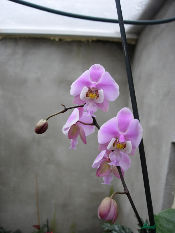 DSCN2028.jpg