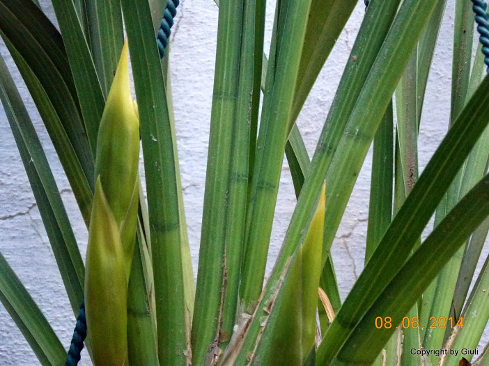 DSCN2034.JPG