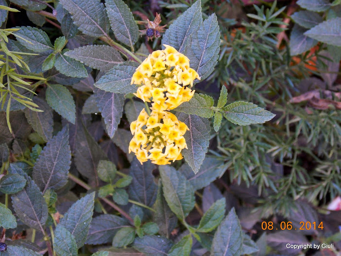DSCN2036.JPG
