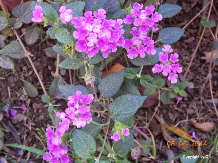 DSCN2038.JPG