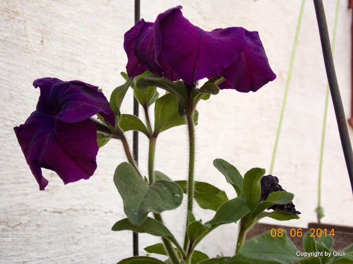 DSCN2044.JPG
