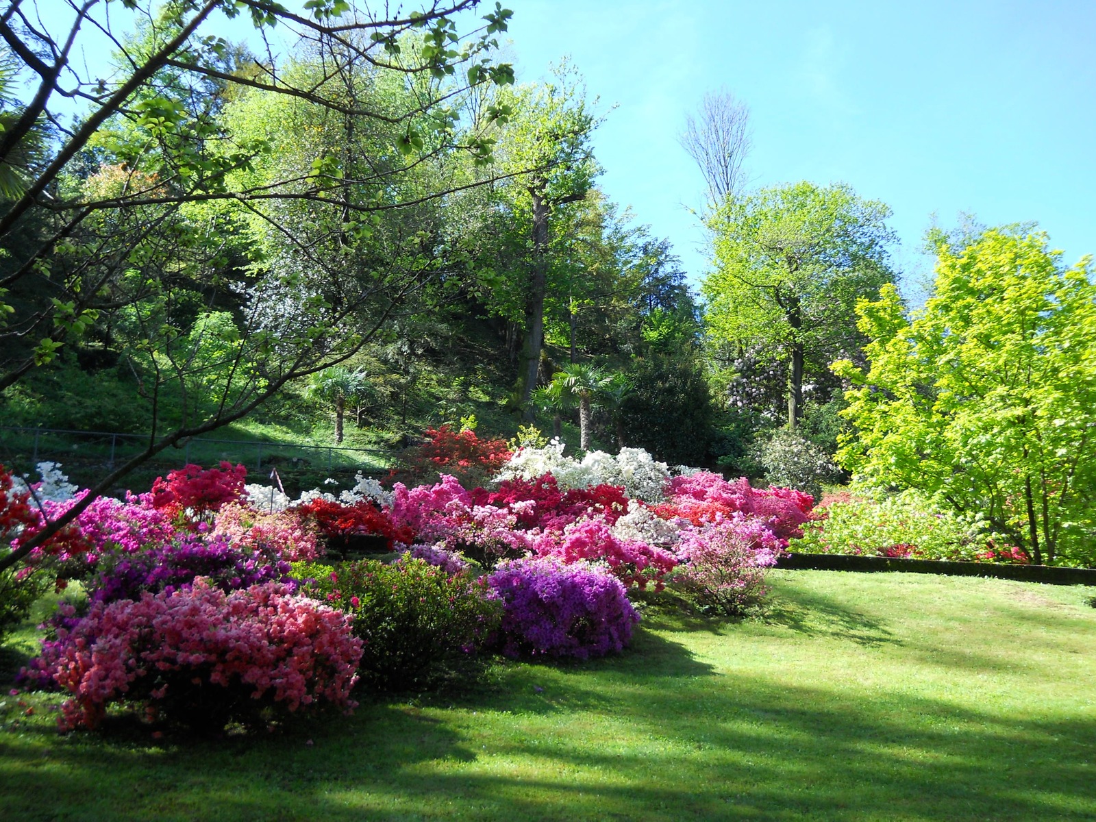DSCN2049.jpg