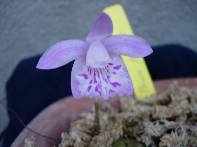 DSCN2055.jpg