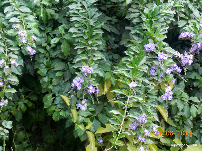 DSCN2055.JPG