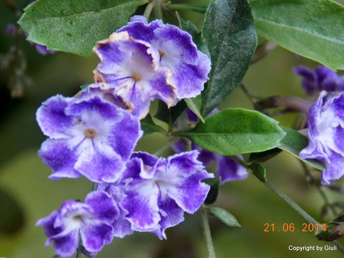 DSCN2058.JPG