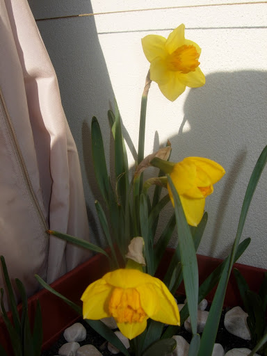 DSCN2059.JPG