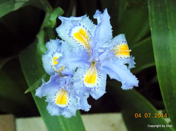 DSCN2064.JPG