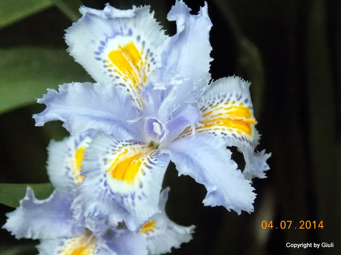 DSCN2065.JPG